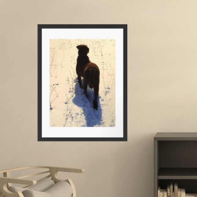 Chesapeake Bay Retriever Poster (Skapare uppladdad)