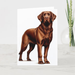 Chesapeake Bay Retriever Puppy Helgkort