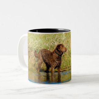 Chesapeake Bay Retriever som jagar Hund-kaffe Mugg