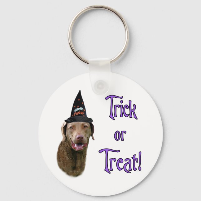 Chesapeake Bay Retriever Trick Nyckelring (Framsida)