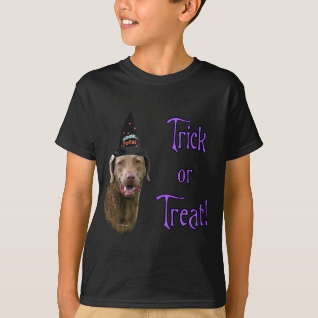 Chesapeake Bay Retriever Trick T-shirt (Framsida)
