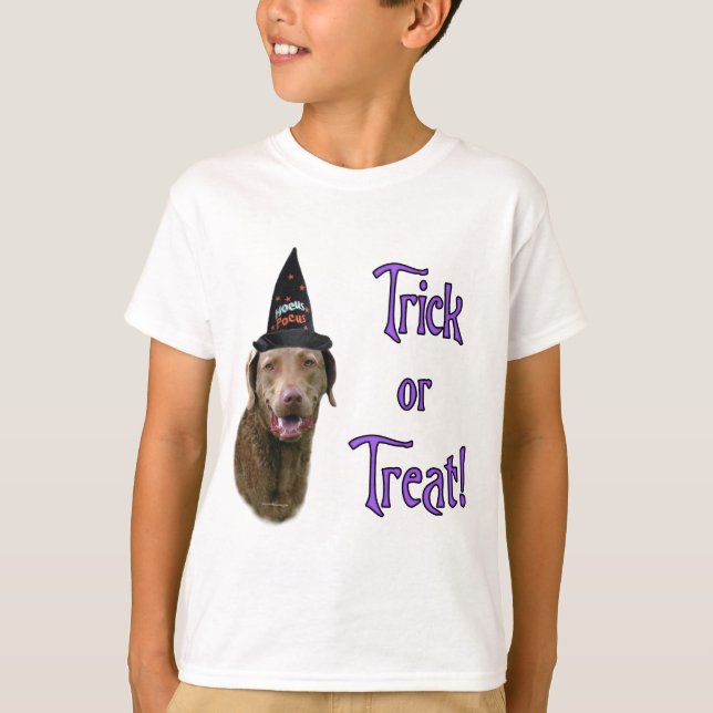 Chesapeake Bay Retriever Trick Tröja (Framsida)