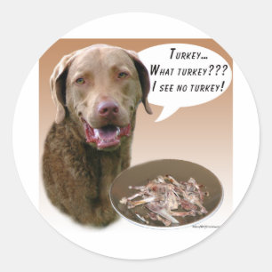 Chesapeake Bay Retriever Turkiet Runt Klistermärke
