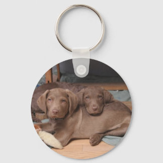 Chesapeake Bay Retrievers Nyckelring