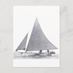 Chesapeake Bay Skipjack Vykort