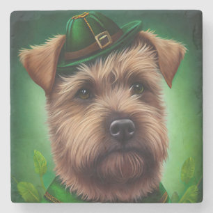 Chesapeake Bay Terrier i St. Patrick Dress Stenunderlägg