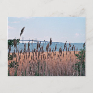 Chesapeake Bay Vykort