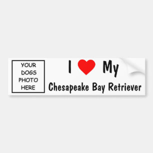 ChesapeakefjärdRetriever Bildekal