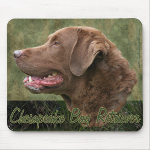 ChesapeakefjärdRetriever Mousepad Musmatta