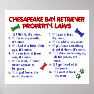 CHESAPEAKEFJÄRDRETRIEVER PL2 POSTER