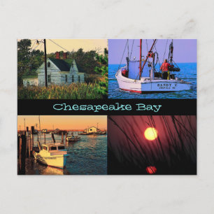 Chesapeakefjärdvykort Vykort