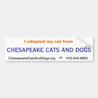 Chesapeakekatt- och hundbildekal bildekal