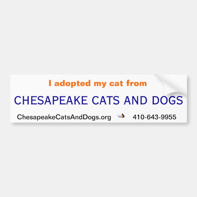 Chesapeakekatt- och hundbildekal bildekal (Framsidan)