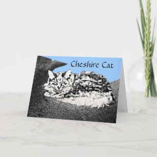 Cheshire Cat Grattiss-kort Kort