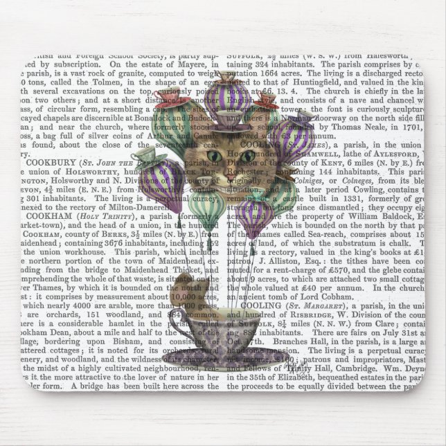 Cheshire Cat Luftballong Musmatta (Framsidan)