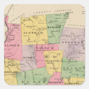Cheshire County, NH Fyrkantigt Klistermärke