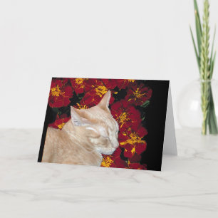 Cheshire kattunge i ringblommar kort