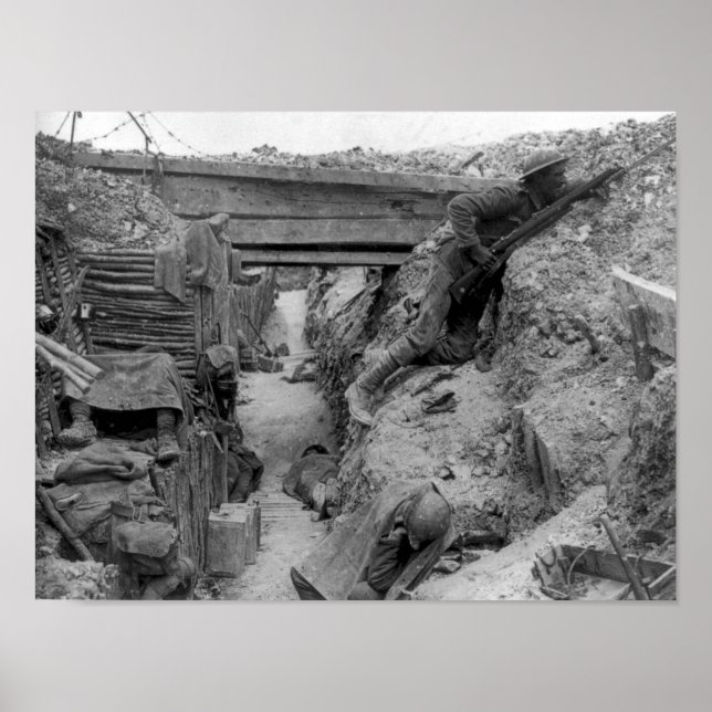 Cheshire Reg inte på Somme Poster (Framsidan)