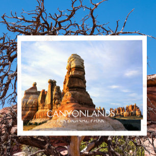 Chesler Park, Needles, Canyonlands nationalpark Vykort