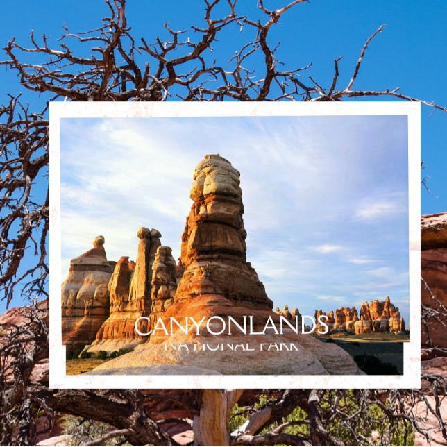 Chesler Park, Needles, Canyonlands nationalpark Vykort (Skapare uppladdad)