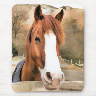 CHESNUT HORSE MUSMATTA