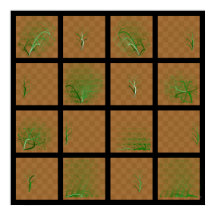 Chess Biet Journeys, jämförda (Grönt Linjer)