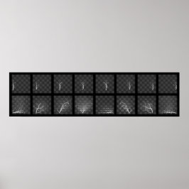 Chess Biet Journeys (Vita sidan) Poster