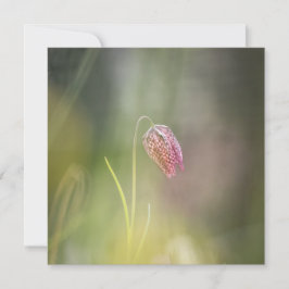 Chess Flower Nature-fotokort