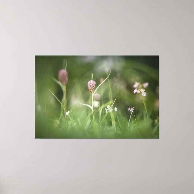 Chess Flower Nature Photo Canvastryck (Framsida)