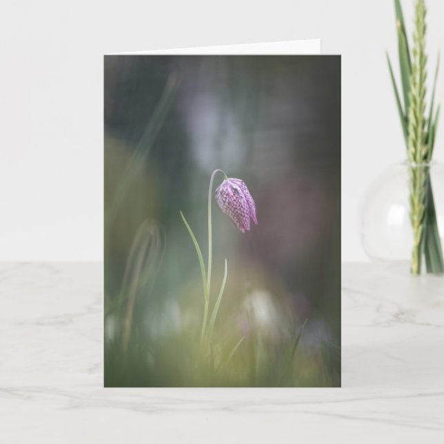 Chess Flower Nature Photo Kort (Framsida)