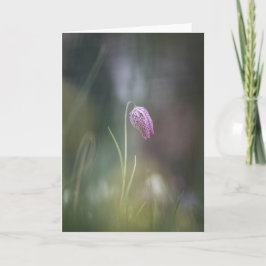 Chess Flower Nature Photo Kort