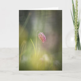 Chess Flower Nature Photo Kort