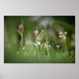Chess Flower Nature Photo Poster