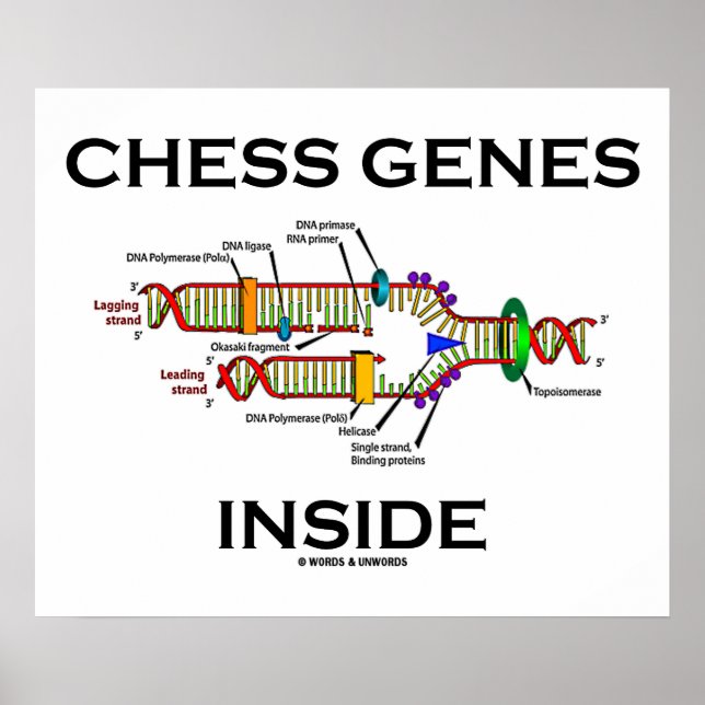 Chess Genes Inside (DNA-replikering) Poster (Framsidan)