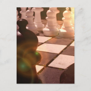 Chess Grandmaster Postcard Vykort