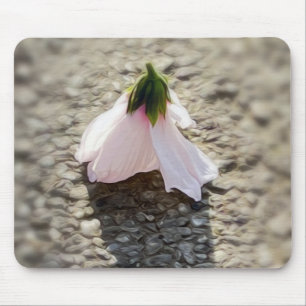Chess pawn-blomma musmatta