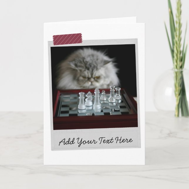 Chess Player Cat Funny Card Kort (Framsida)