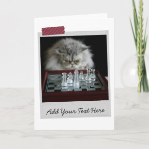 Chess Player Cat Funny Card Kort