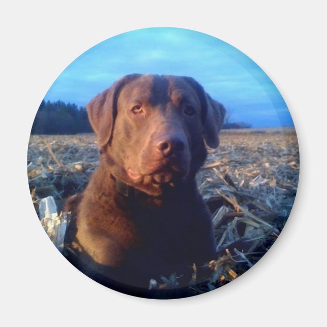Chessie Magnet (Framsidan)