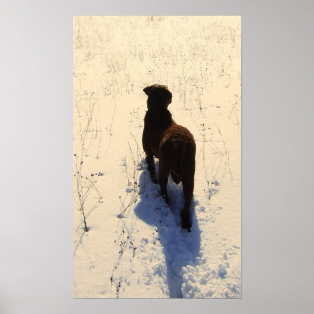 Chessie Poster (Framsidan)