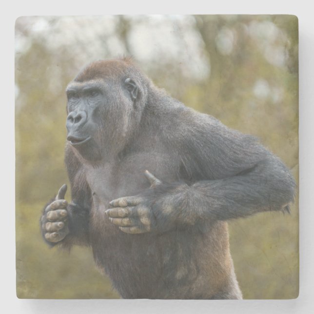 Chest Beating Gorilla Stenunderlägg (Framsidan)