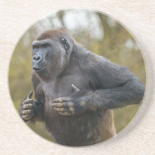 Chest Beating Gorilla Underlägg (Framsidan)