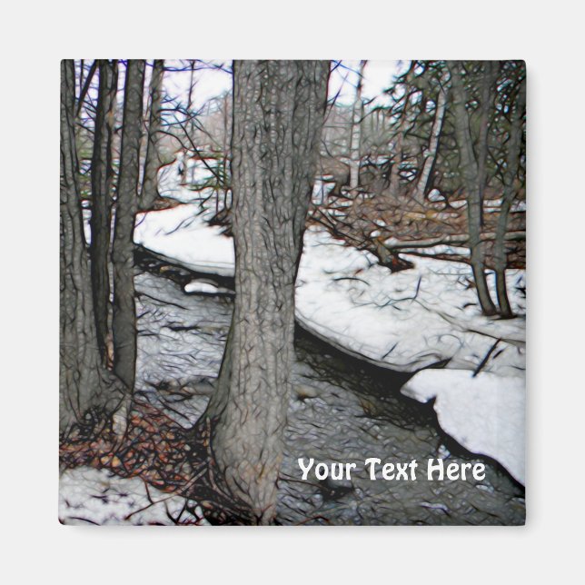 Chester Bäck Magnet (Framsidan)