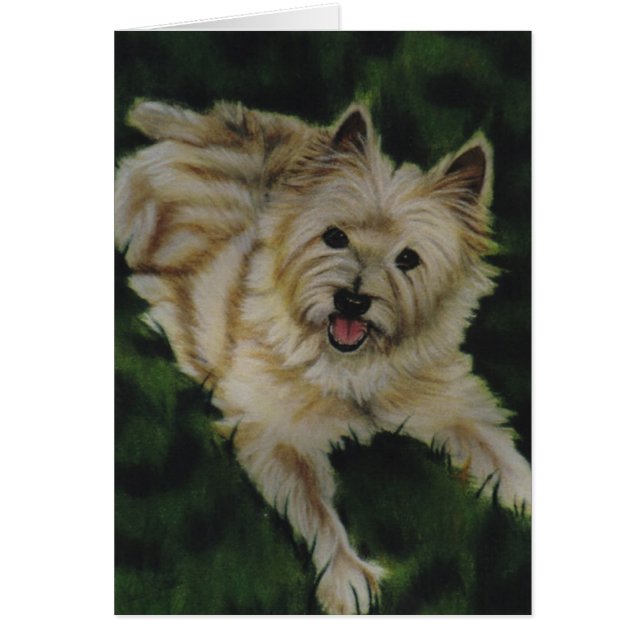 "Chester" Hälsningskort (Framsidan)