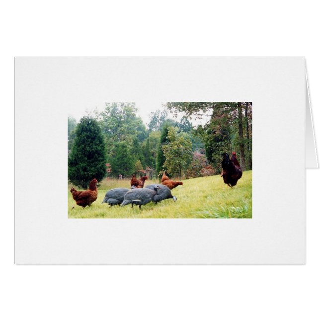 Chester & hans armé på patrull hälsningskort (Framsidan Horizontal)