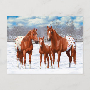 Chestnut Appaloosa Sorrel Quarter Horses i Snö Vykort