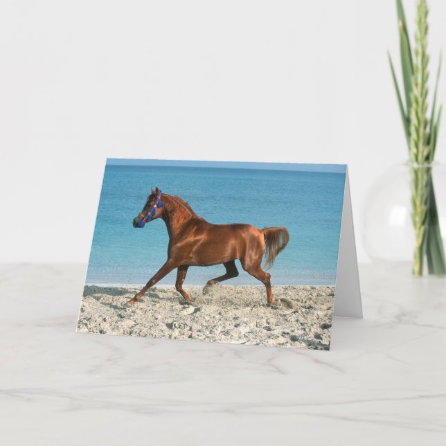 Chestnut Arab Stallion Runon på Beach Kort (Framsida)