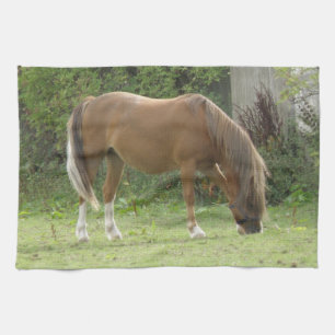Chestnut Brown Horse Grazing Kitchen Towel Kökshandduk