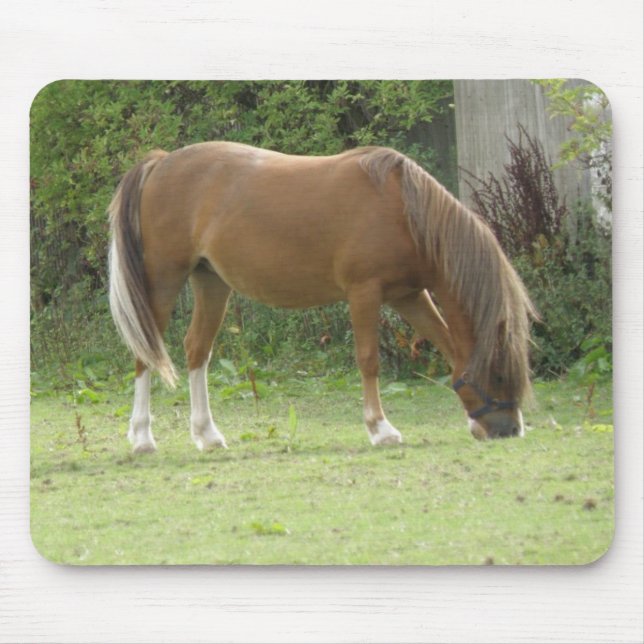 Chestnut Brown Horse Grazing Mousepad Musmatta (Framsidan)