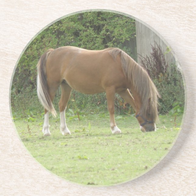 Chestnut Brown Horse Grazing Underlägg (Framsidan)
